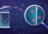 Malwarebytes Free – slik fjerner og stopper du skadevare gratis Illustrasjon av et forstørrelsesglass som skanner et sekskantmønster av filer og avslører røde skadevarebiller, som deretter fraktes inn i en glasskrukke for karantene mens rensede filer får grønne haker.